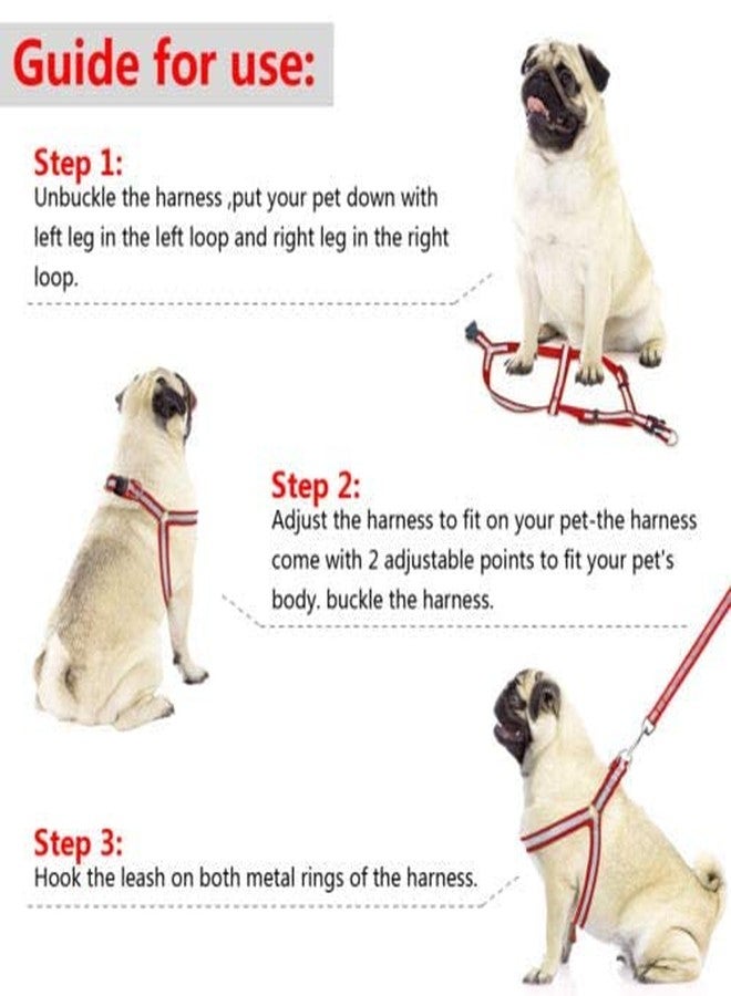 Pups&Pets Adjustable Soft Nylon Strip Radium Dog Harness & Leash Set for Puppies and Small Breed Dog Reflected Harness & Leash Set 15mm (Red Color) - Image 5